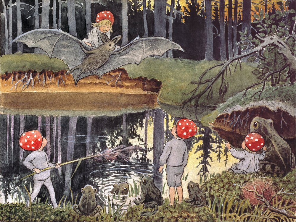 I bambini di Tomtebo: Il pipistrello da Elsa Beskow