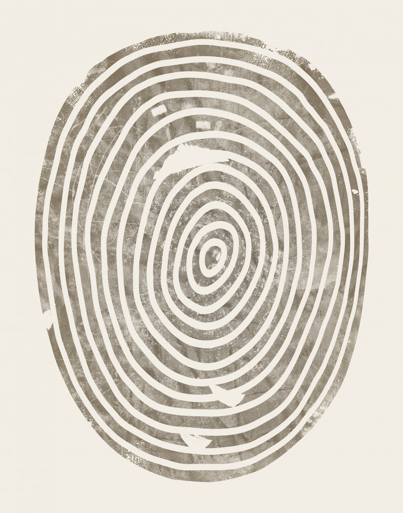 Abstract: Gli anelli degli alberi da Ema Paraschiv