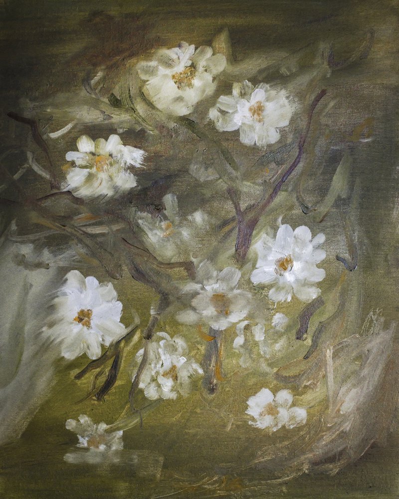 Morbidi fiori bianchi da Emily Tingey