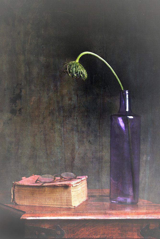Fiore appassito e libro da Eyal Amer