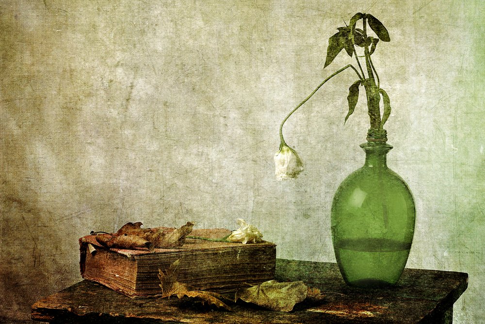 Libro antico "La rosa appassita" da Eyal Amer