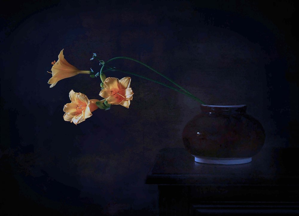 Bagliore floreale oscuro da Fangping Zhou