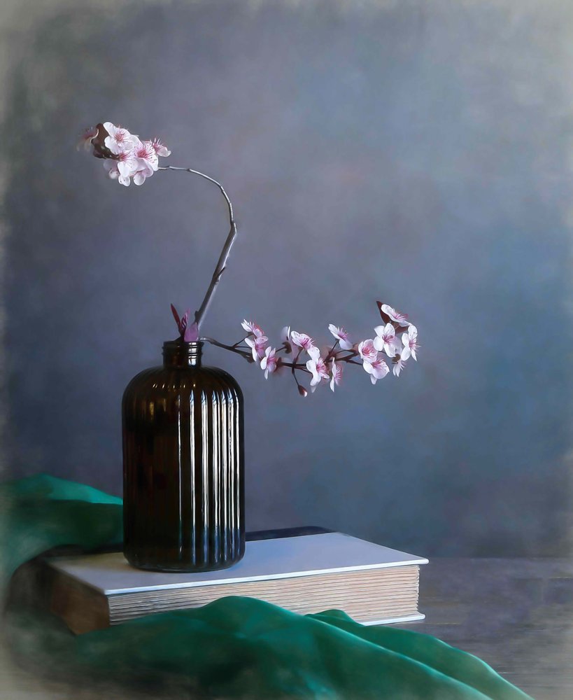 Delicati fiori primaverili da Fangping Zhou