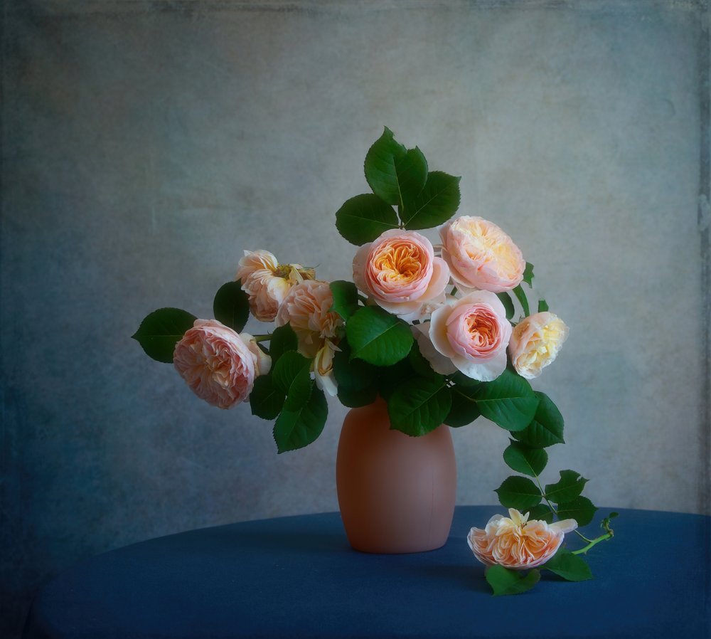 Elegante bouquet di rose da Fangping Zhou