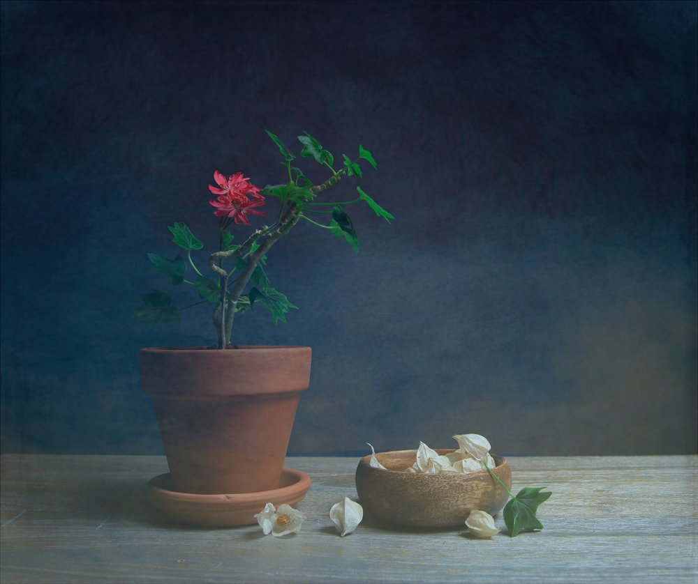 Fiore in vaso Moody da Fangping Zhou