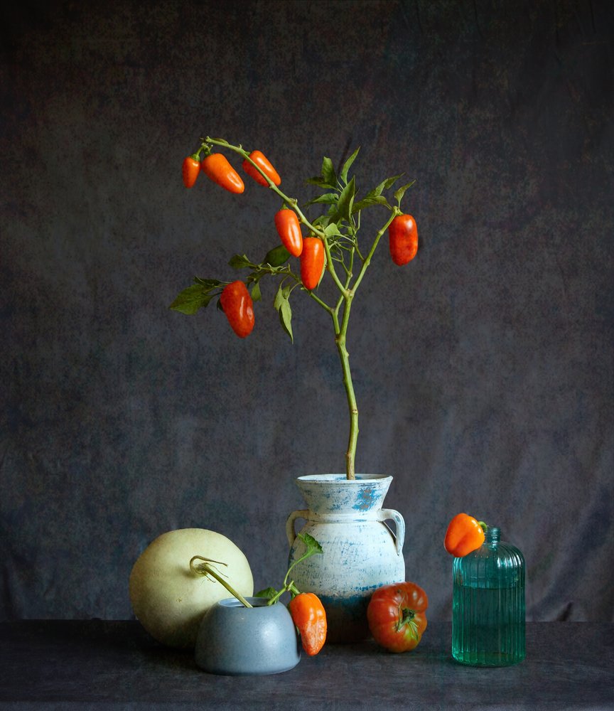 Pomodori arancioni: natura morta rustica da Fangping Zhou