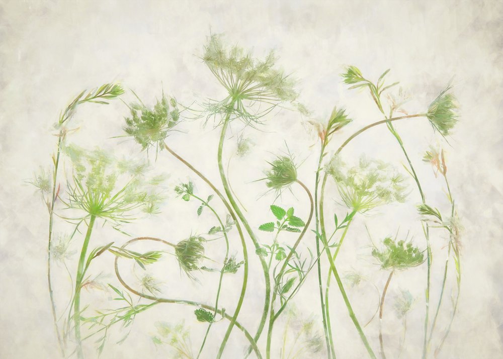 Soft Green Botanicals da Fangping Zhou