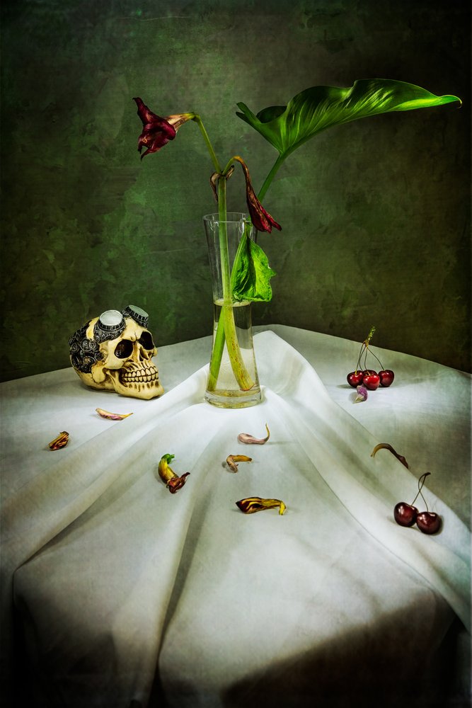 Teschio gotico Vanitas da Felice Angelino