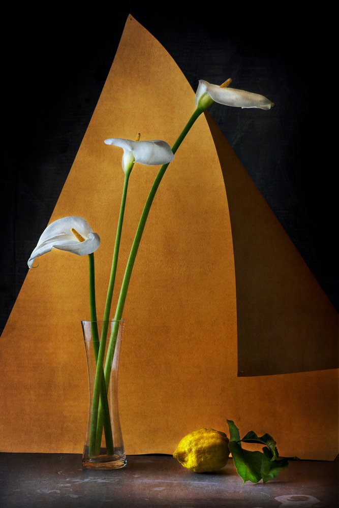  da Felice Angelino