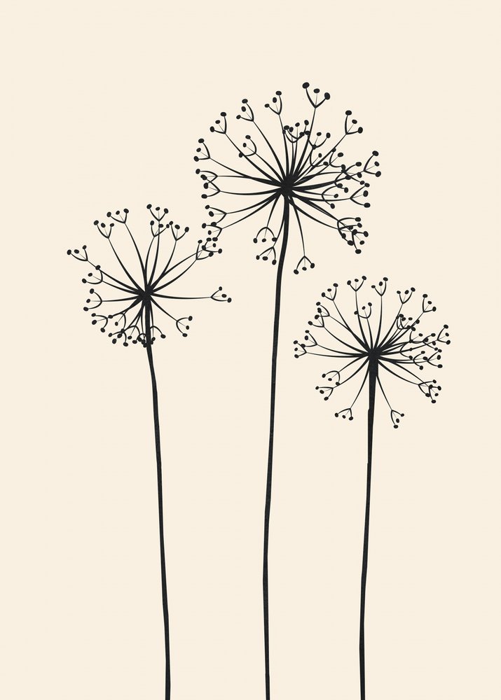 Fiori di tarassaco in stile minimalista da Flow Line