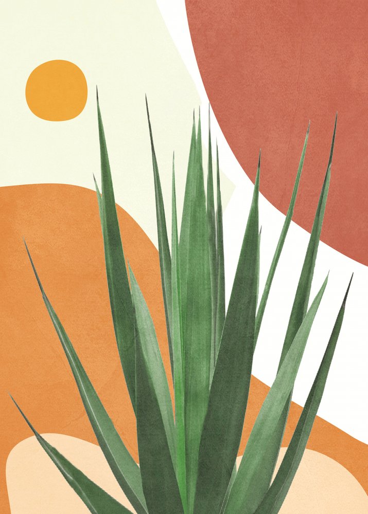Agave del deserto moderna da Flow Line