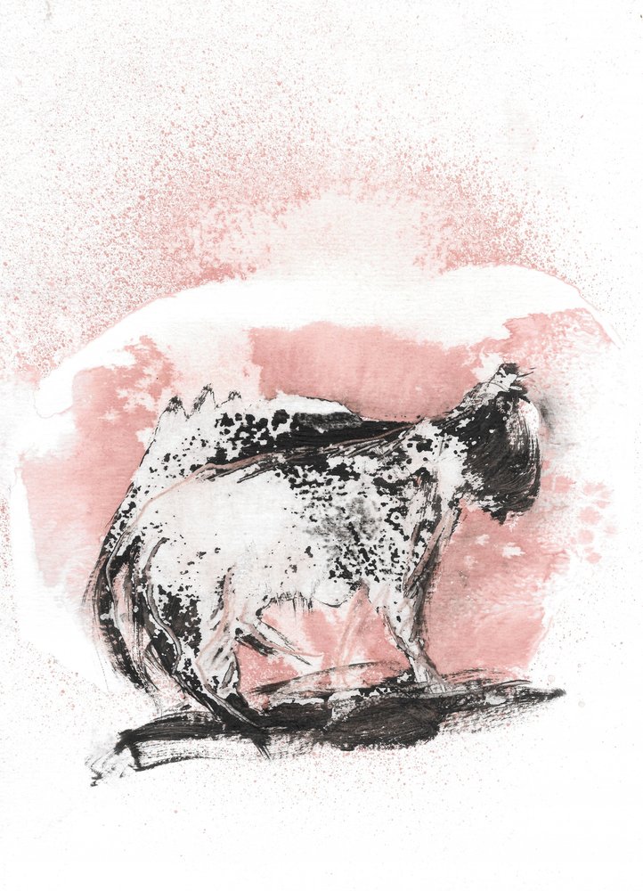 Schizzo dinamico di un gatto da Frederic Belaubre