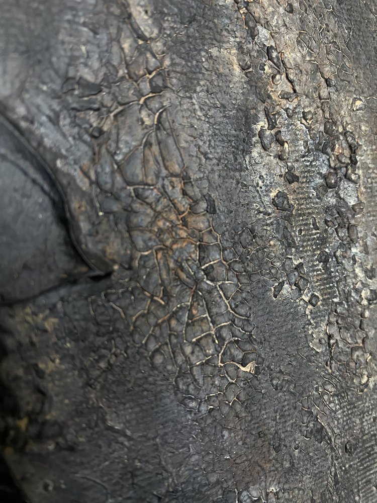  da Gabriela Aleksandra Szuba