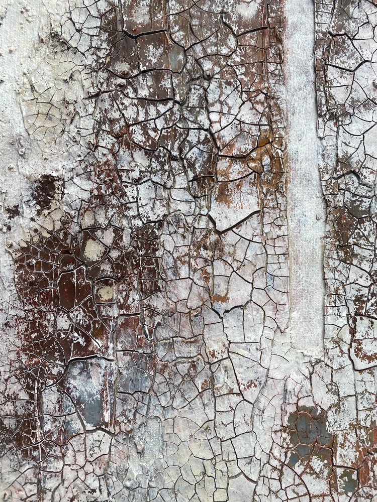  da Gabriela Aleksandra Szuba