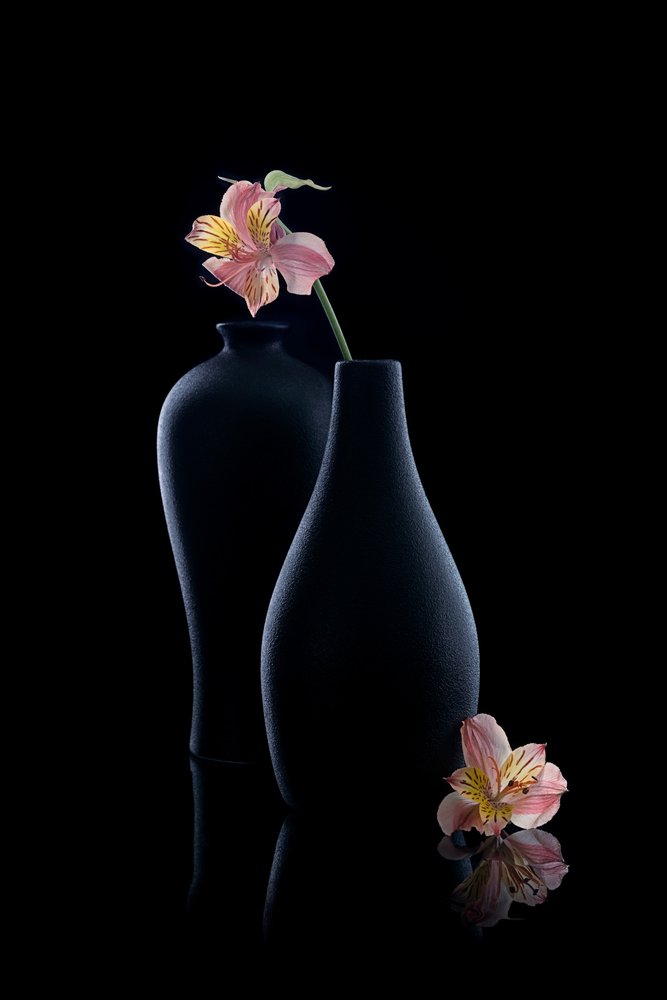 Eleganti alstroemeria in vaso da GaoSL