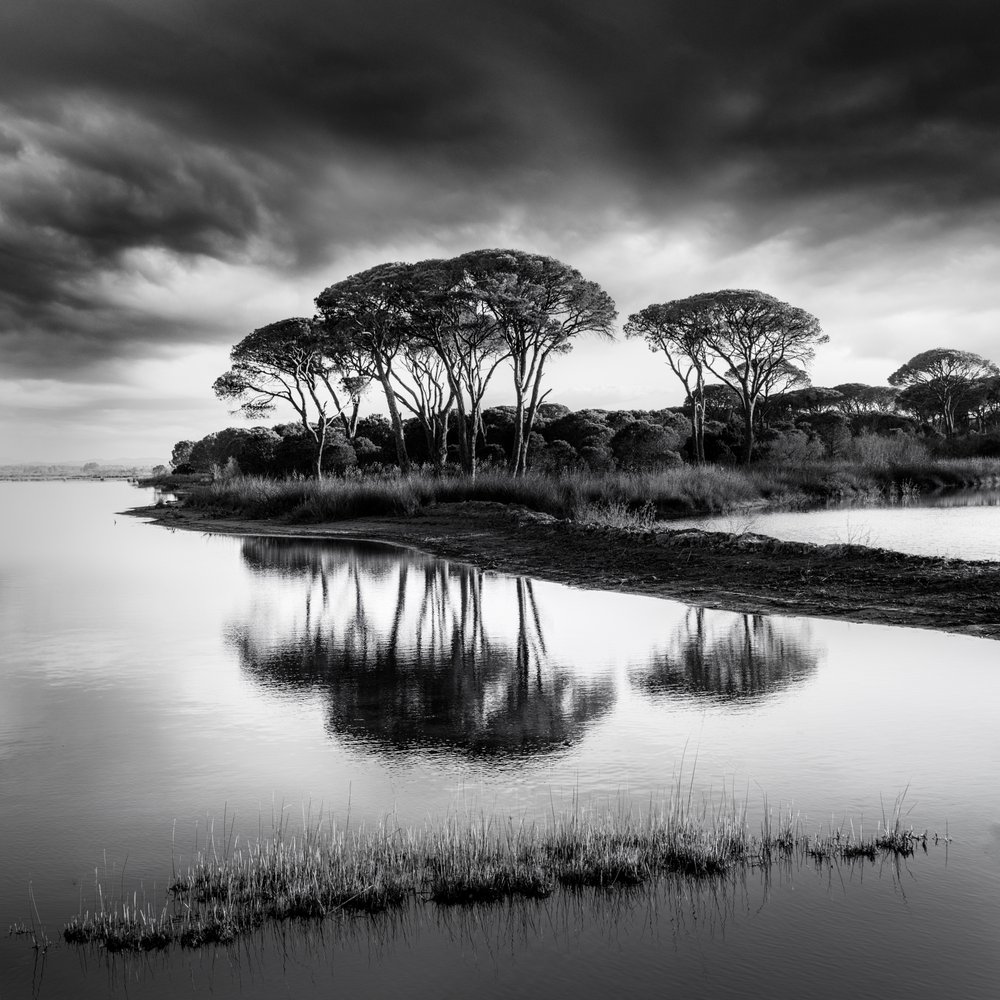 Riflessi suggestivi tra i pini da George Digalakis