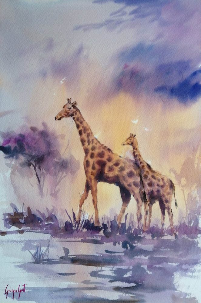 Giraffe al tramonto in Africa da Giorgio Gosti