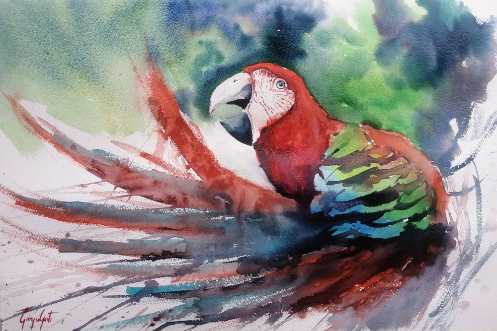 Ara della giungla dai colori vivaci da Giorgio Gosti