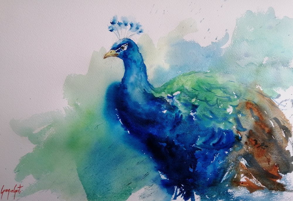 Elegante pavone blu da Giorgio Gosti