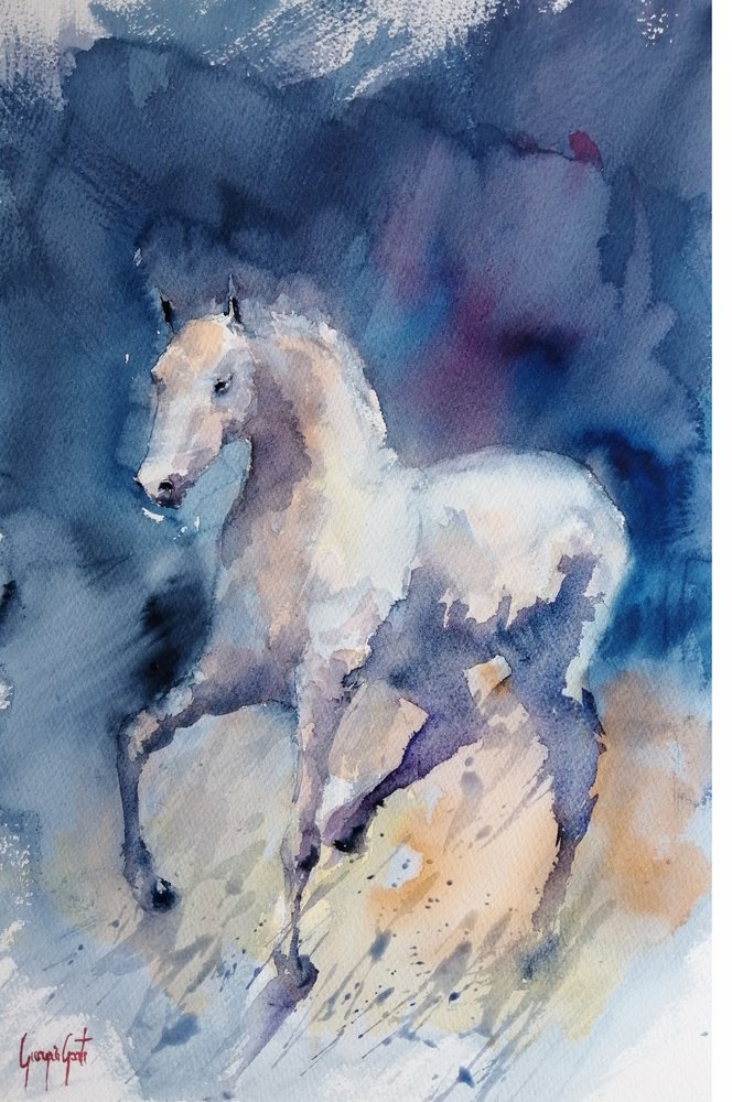 Grazioso cavallo bianco da Giorgio Gosti