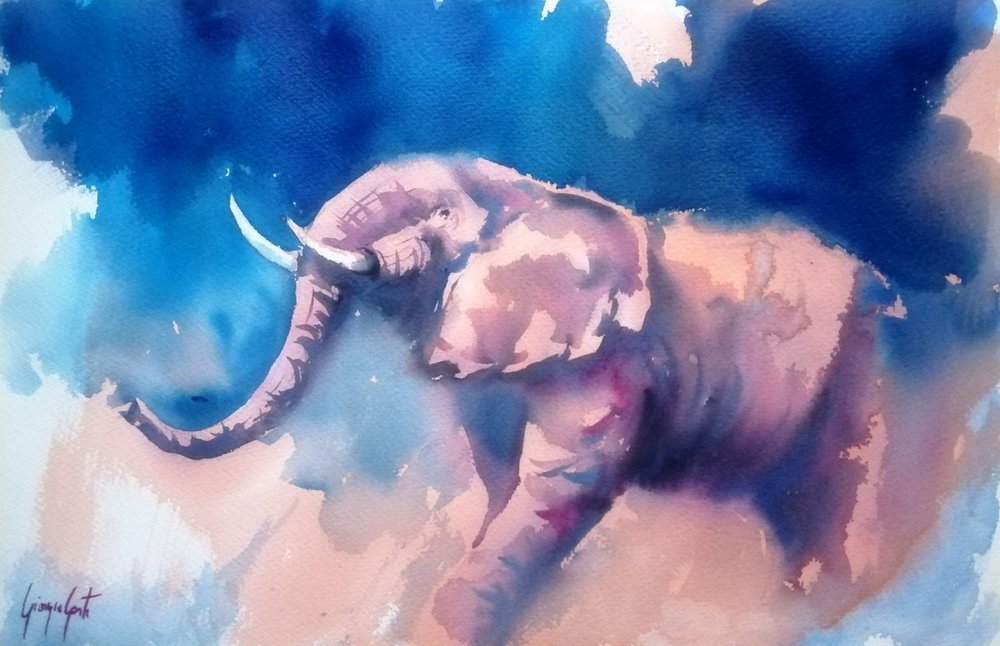 Il maestoso elefante blu da Giorgio Gosti
