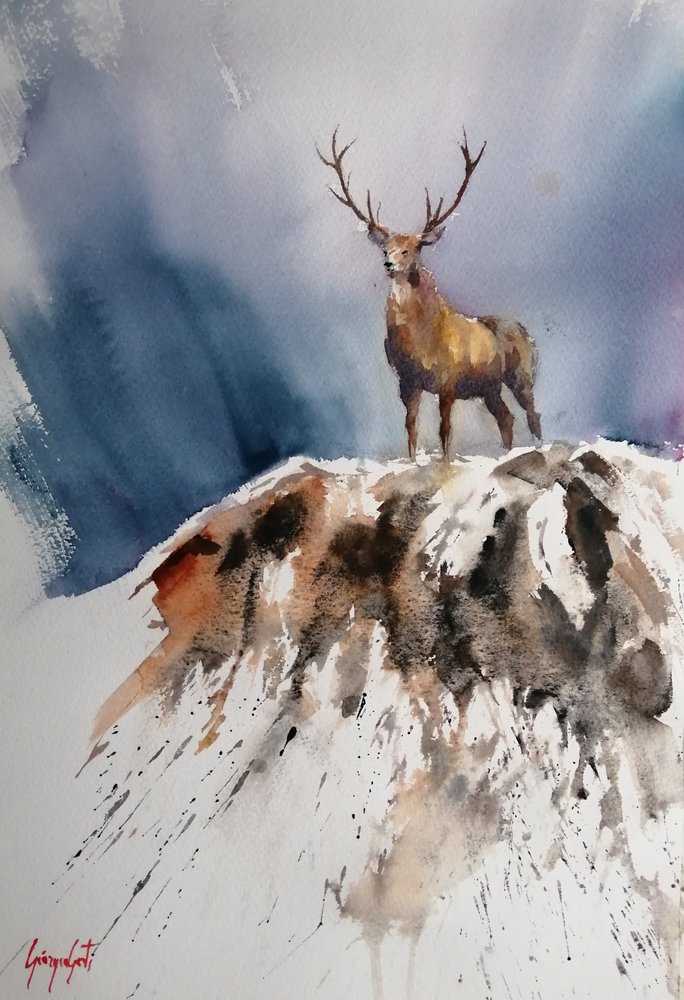 Maestoso cervo di montagna da Giorgio Gosti
