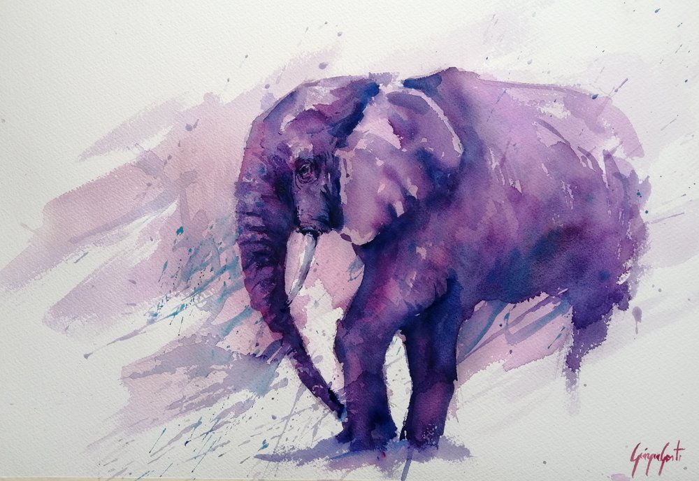 Il maestoso elefante viola da Giorgio Gosti
