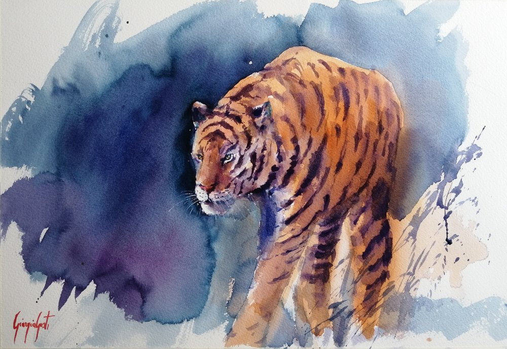 Il maestoso passo della tigre da Giorgio Gosti