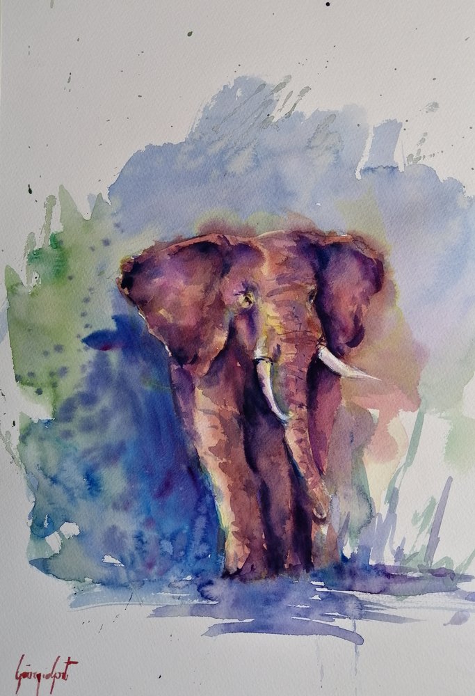 Maestoso elefante ad acquerello da Giorgio Gosti