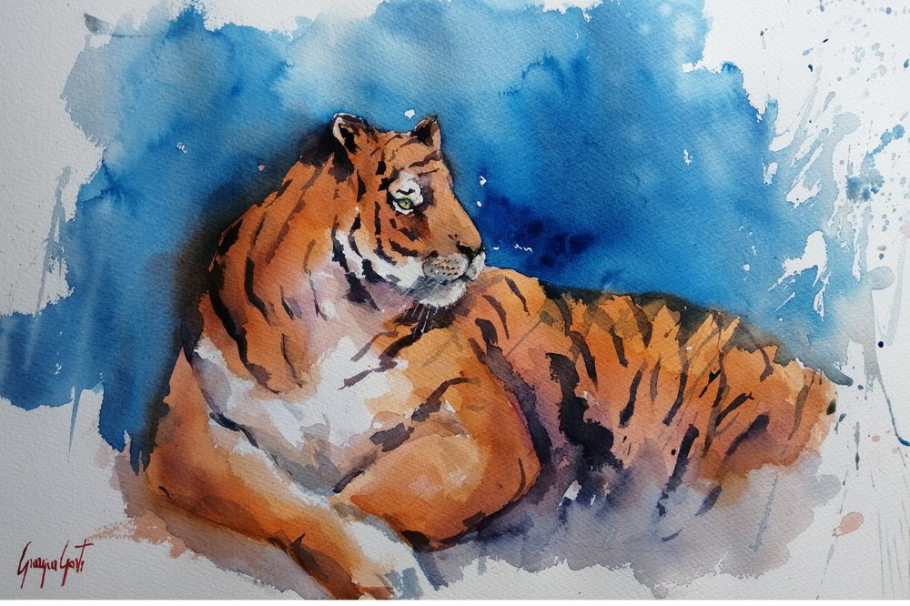 Maestosa tigre ad acquerello da Giorgio Gosti