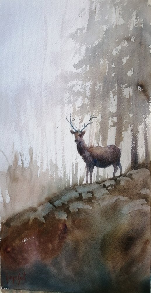 Cervo della foresta nebbiosa da Giorgio Gosti