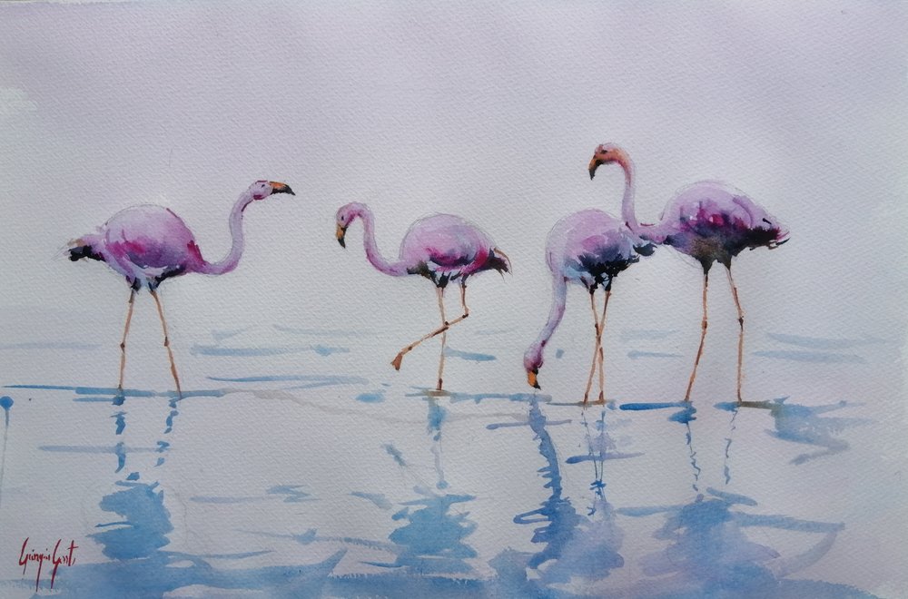 Fenicotteri rosa che sguazzano da Giorgio Gosti