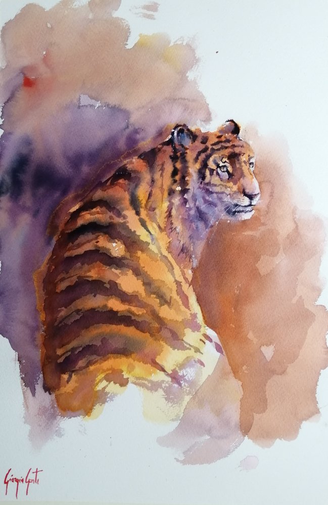 tigre 6 da Giorgio Gosti