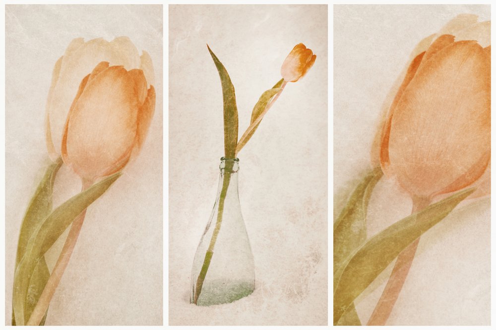 Delicata natura morta con tulipani da Gustav Davidsson