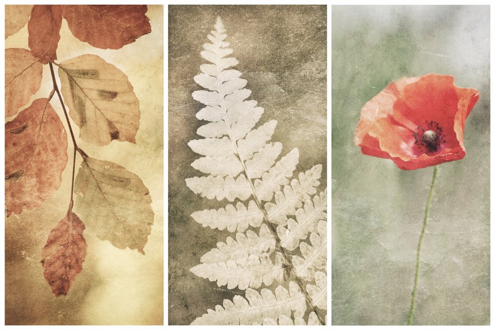 Trio Vintage Nature da Gustav Davidsson