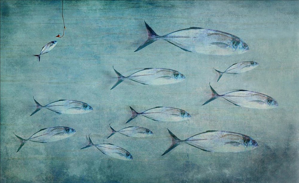 Pesce piccolo, amo grande da Harry Wentworth