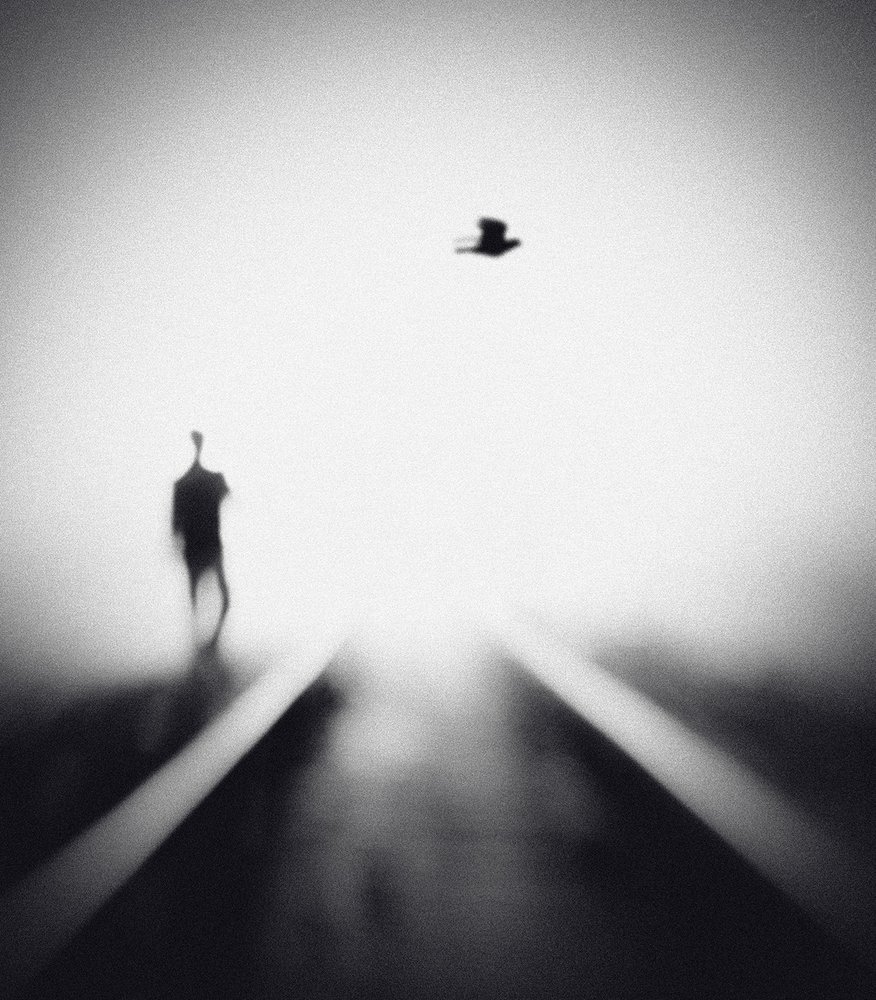 Uomo solitario, uccello in volo da Hengki Lee
