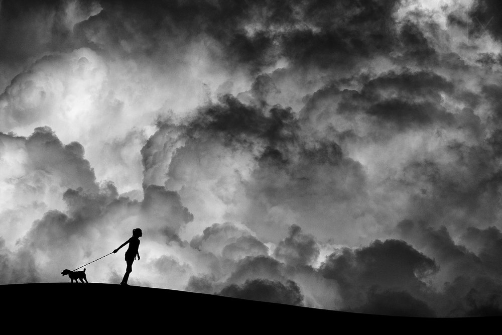 Passeggiata con i cani sotto un cielo tempestoso da Hengki Lee