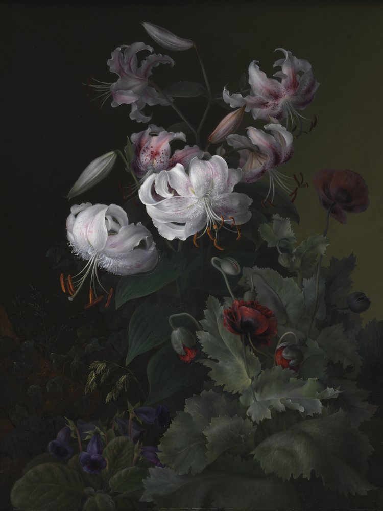  da Hermania Sigvardine Neergaard