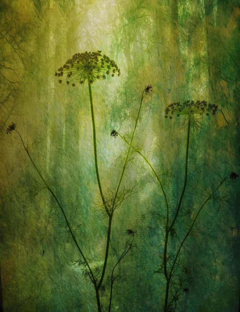 Aneto verde tranquillo da Hilda van der Lee