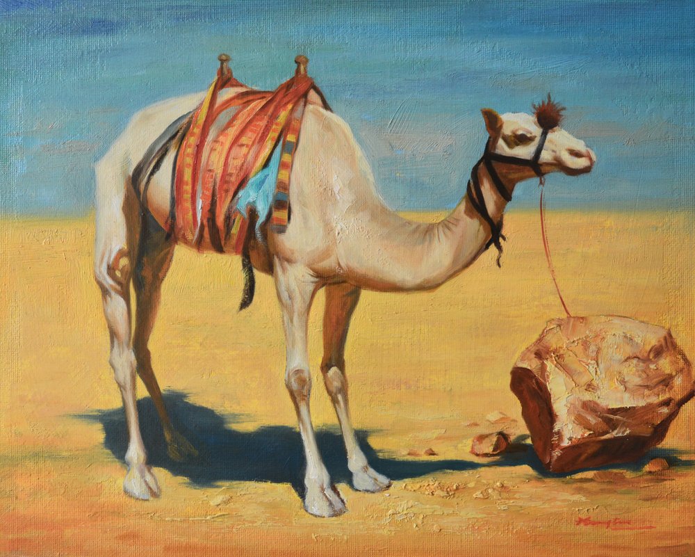 Cammello del deserto legato da Hongtao Huang