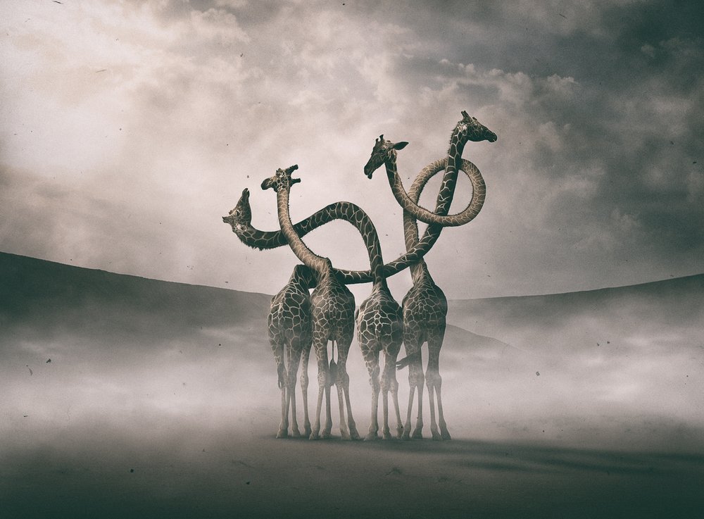  da Hussain Buhligaha