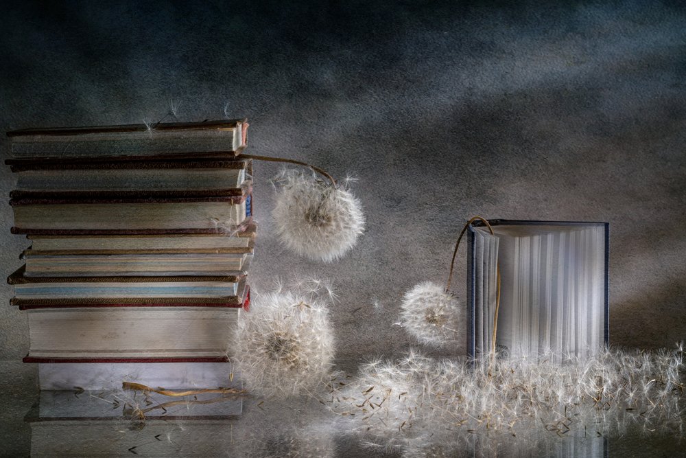 Libri sognanti e denti di leone da Igor Kopcev