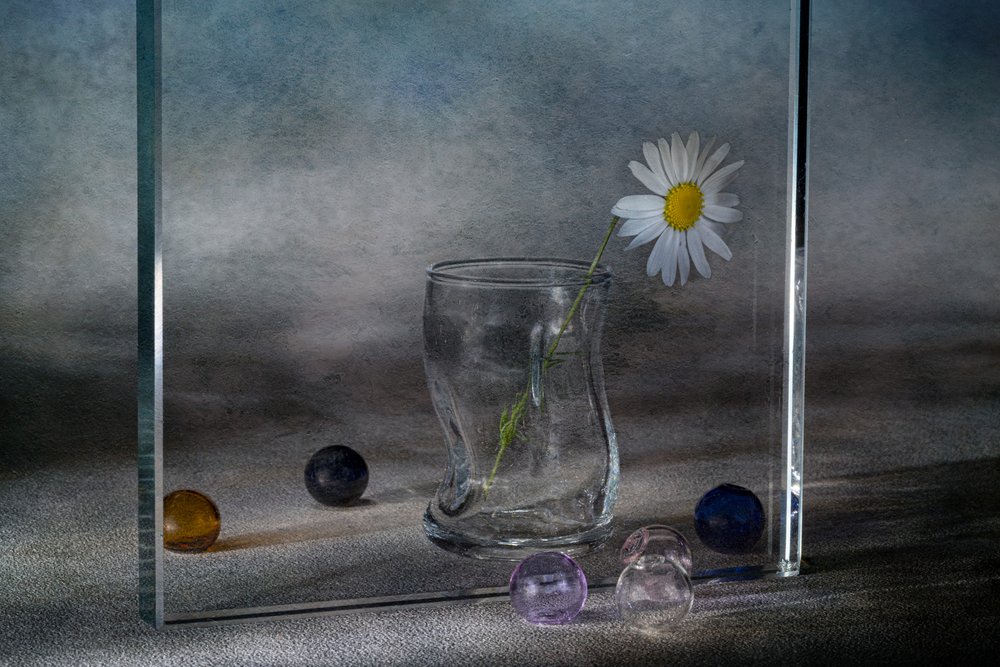 Quieti riflessi di margherite da Igor Kopcev