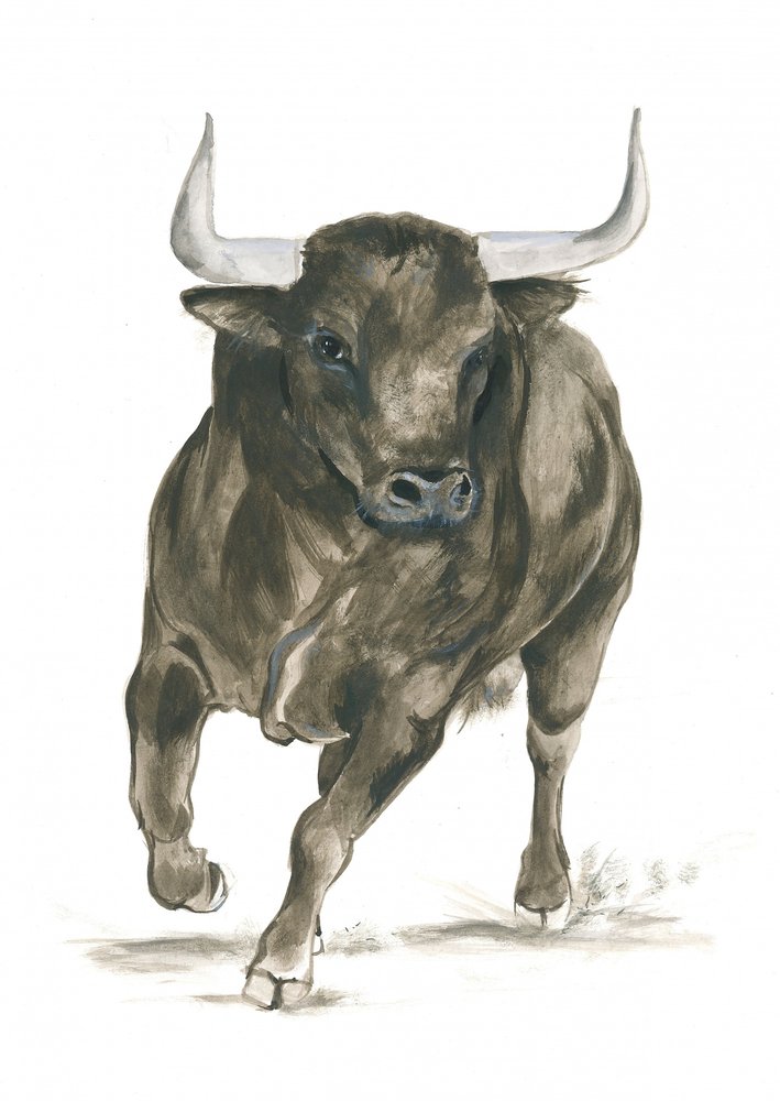 Potenza di un toro all