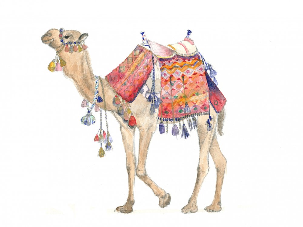 Eleganza del deserto da Isabelle Brent