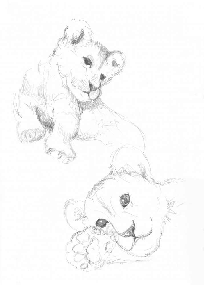 Cuccioli di leone da Isabelle Brent