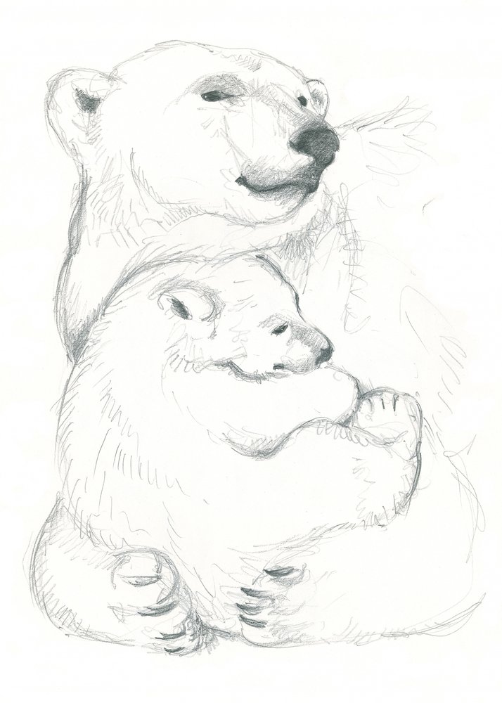 Disegno di orso polare e cucciolo da Isabelle Brent