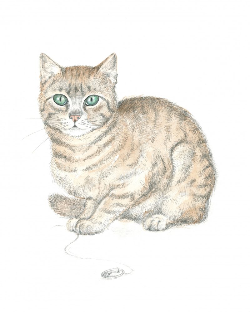 Gatto soriano e bottone da Isabelle Brent