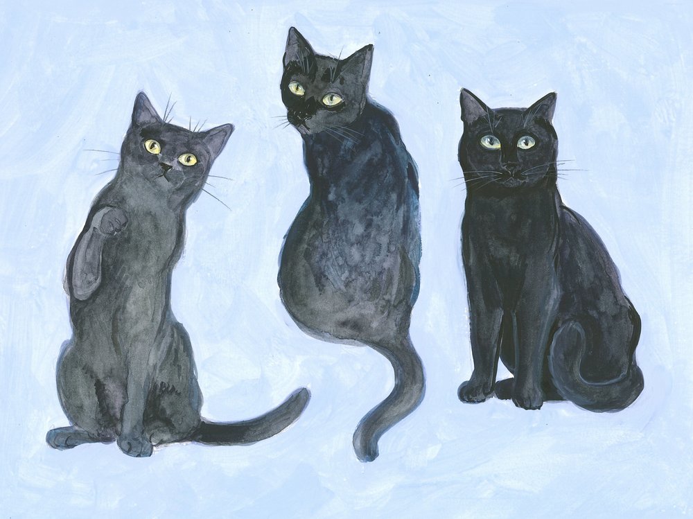 Studio di tre gatti da Isabelle Brent